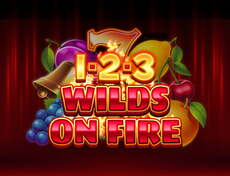 1-2-3 Wilds on Fire